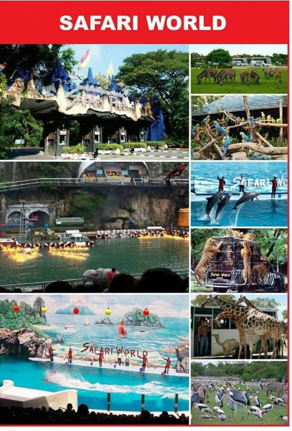 Safari world